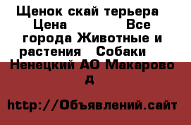 Щенок скай терьера › Цена ­ 20 000 - Все города Животные и растения » Собаки   . Ненецкий АО,Макарово д.